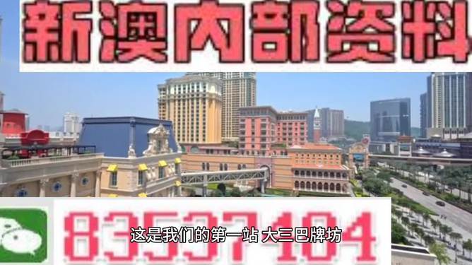 关于新澳门2024年正版免费公开，一个关于犯罪与法律的探讨