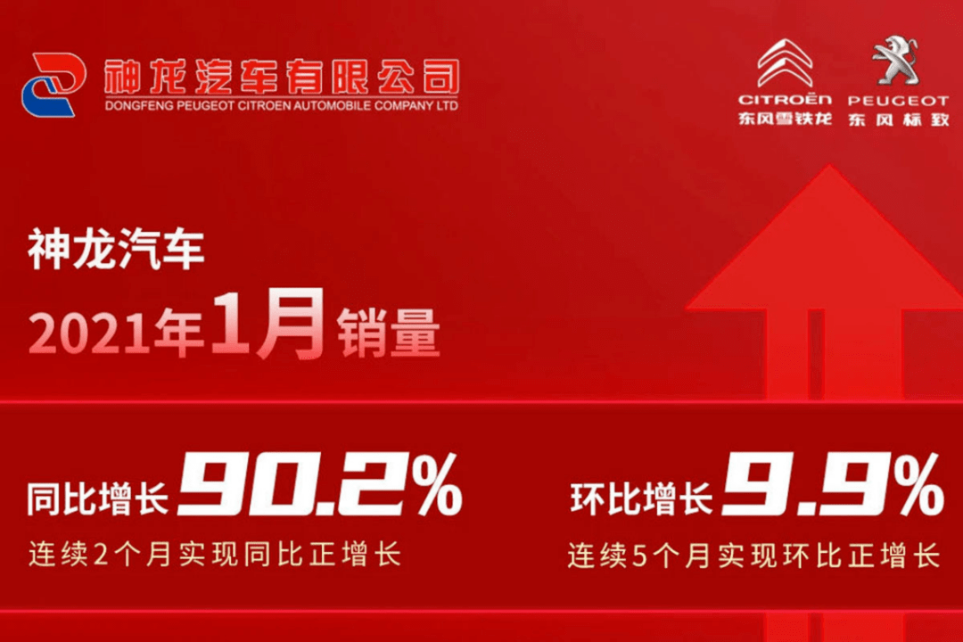 2024新奥资料免费精准39,2024年资料免费大全,探索未来，关于新奥资料的免费精准获取之道（附深度解析）