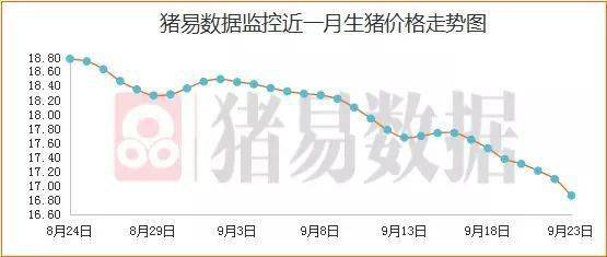 农业部最新猪价新闻,农业部最新猪价新闻报道,农业部最新猪价新闻，市场走势分析与行业应对策略