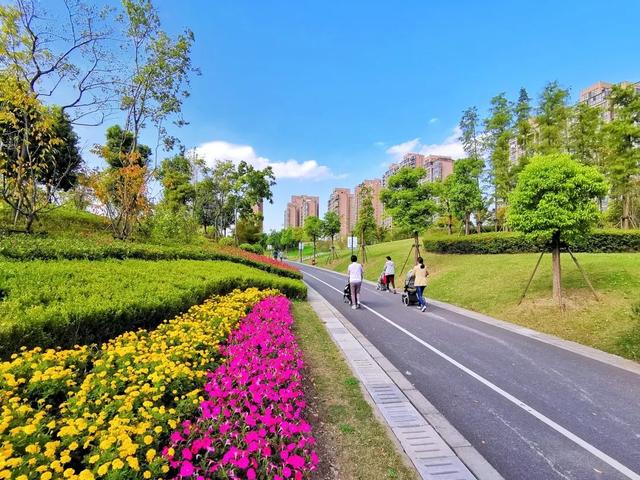 白沙公园宝山最新消息,白沙公园 宝山,白沙公园宝山最新动态，城市绿肺的新篇章