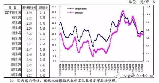 猪肉最新价格动态分析